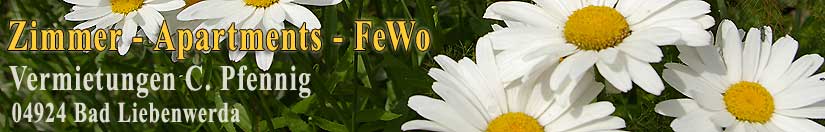 Zimmer,&Uuml;bernachtungen,Appartements, Ferienwohnungen (FeWo),Einraumwohnungen in Bad Liebenwerda
